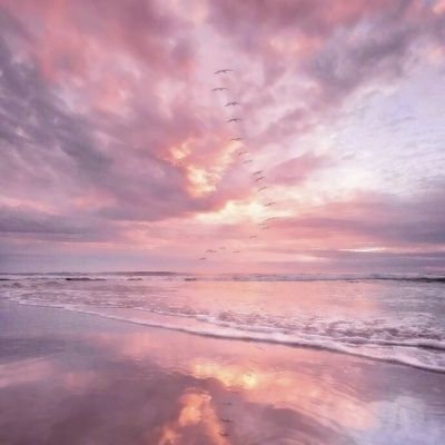 乐鱼游戏app在线登录手机app下载