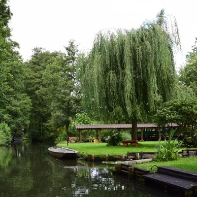 博鱼app下载(中国)官方网站截图